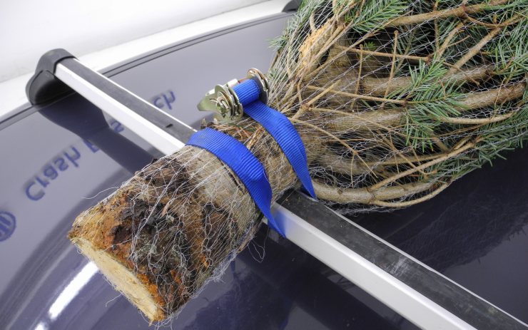 Takto ano. Při převozu stromku na střeše auta buďte opatrní. Foto: Allianz pojišťovna